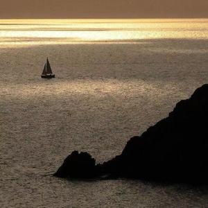 苏甜-天龙八部之宿敌（翻自 一口甜）（王子J remix）