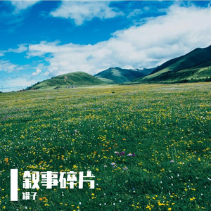 叙事碎片