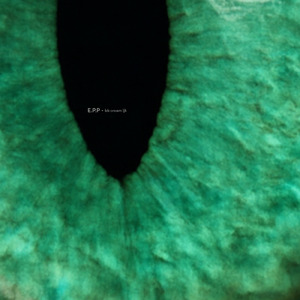 E.P.P-