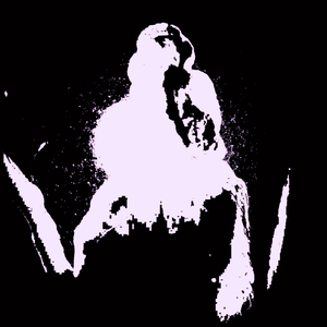 Ventricle Penetration Extraterrestrial Envenomation