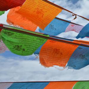 姐姐，今夜我在德令哈2019（翻自 黄金刚）