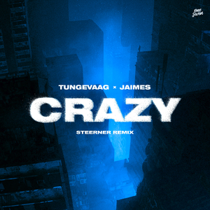Crazy (Steerner Remix)