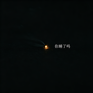 你睡了吗