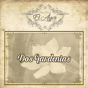Estrellita Del Sur