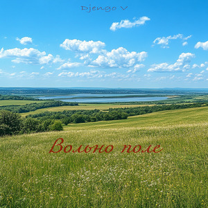 Вольно поле