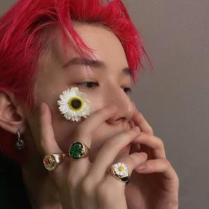 玫瑰窃贼（cover：姜熙）