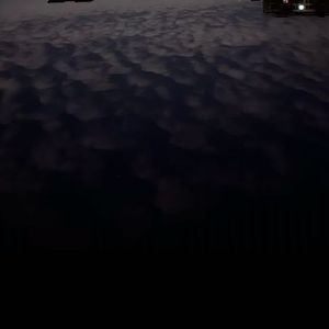 黑猫(instrumental)