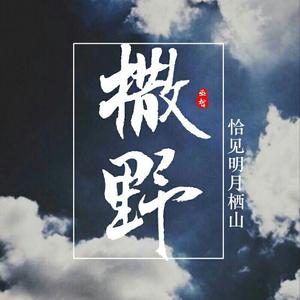 撒野｜钢琴(cover)