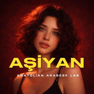 Aşiyan