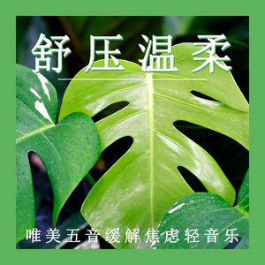 舒压温柔 (八音盒)