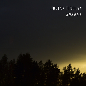 Bosque