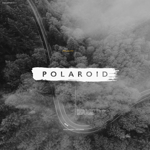 Polaroid