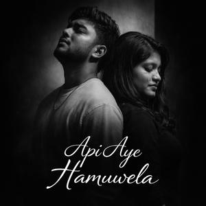 Api Aye Hamuwela (Lofi Version)