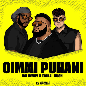 Gimmi Punani