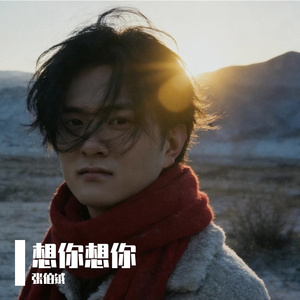 想你想你