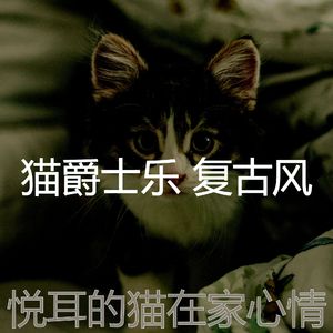 抚慰的睡猫回忆