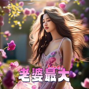 在他乡（摇滚版）