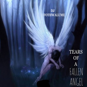 Tears of a Fallen Angel