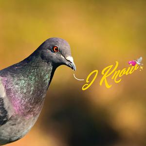 I Know (Twitch Freestlye)