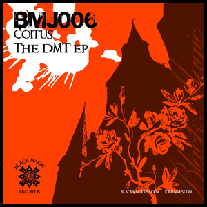 Chaostrophy (Original Mix)