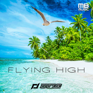 Flying high (Radio Edit)