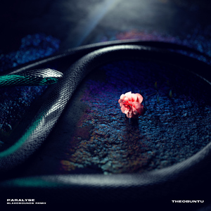 Paralyse (Blaedsounds Remix)