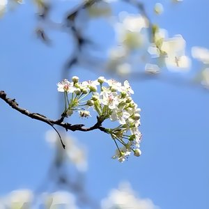 《皖美开局》.wav