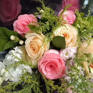 是金子总会发光