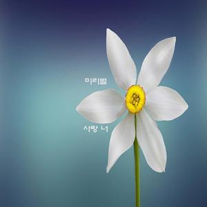 평온한 하루