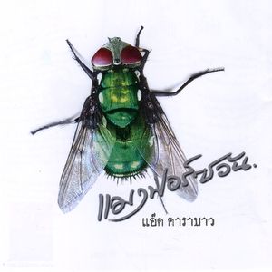 Bor-ri-karn Rab Nuad Na