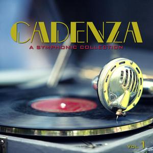 Double Violin Concerto in D Minor, Bwv 1043: II. Largo Ma Non Tanto