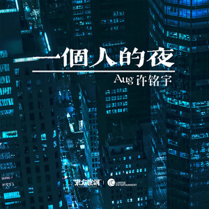 一个人的夜