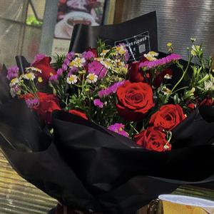 我的宝贝（0.8x）