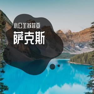 明天会更好 / 卓依婷-萨克斯治愈（小公主苏菲亚 remix）