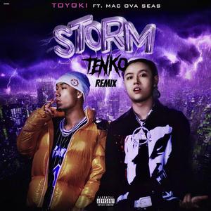 TOYOKI - 暴雨（TENKO Bootleg）