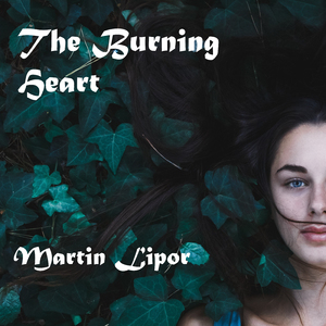 Mozart Style Sonatan (Allegro)