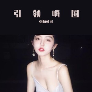 引领嗨圈（Remix）