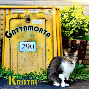 Gattamorta