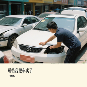 可惜我把车卖了