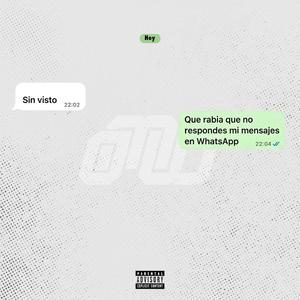 Sin Visto