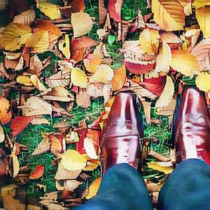 あなたは一人で踊り、あなたは一人で死ぬつもりです