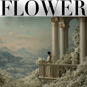 Silver Clouds 银色云朵