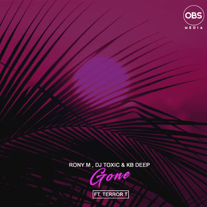 Gone (feat. Terror T) (Original Mix)