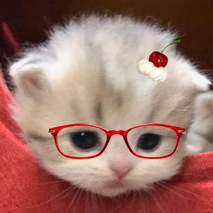 老妹儿跟哥谈恋爱