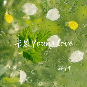 卡农Young love