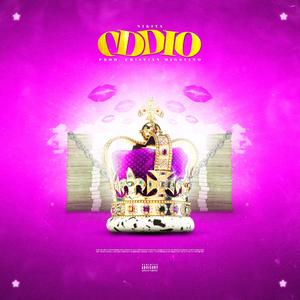 Oddio