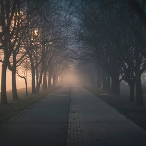 星之所在 口琴版