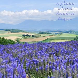 Goomar-Old-timer（何患 remix）