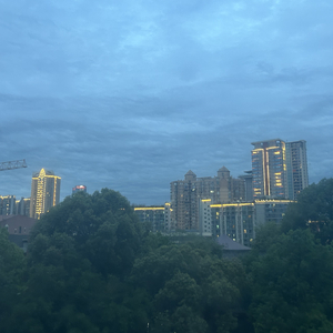 我梦见一片田野