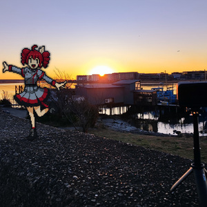 センターマイロニー